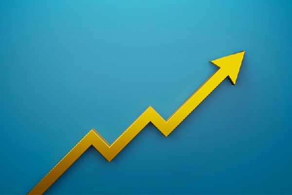 光大期货：9月29日软商品日报